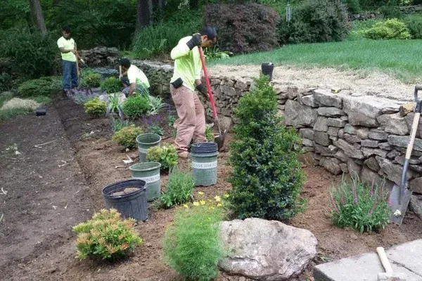 lawn maintenance services in long valley nj