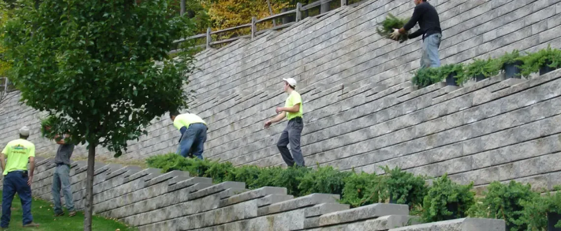 Local landscaping tips for Long Valley and Chester, New Jersey