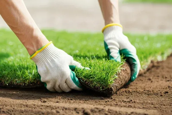 sod installers in long valley nj