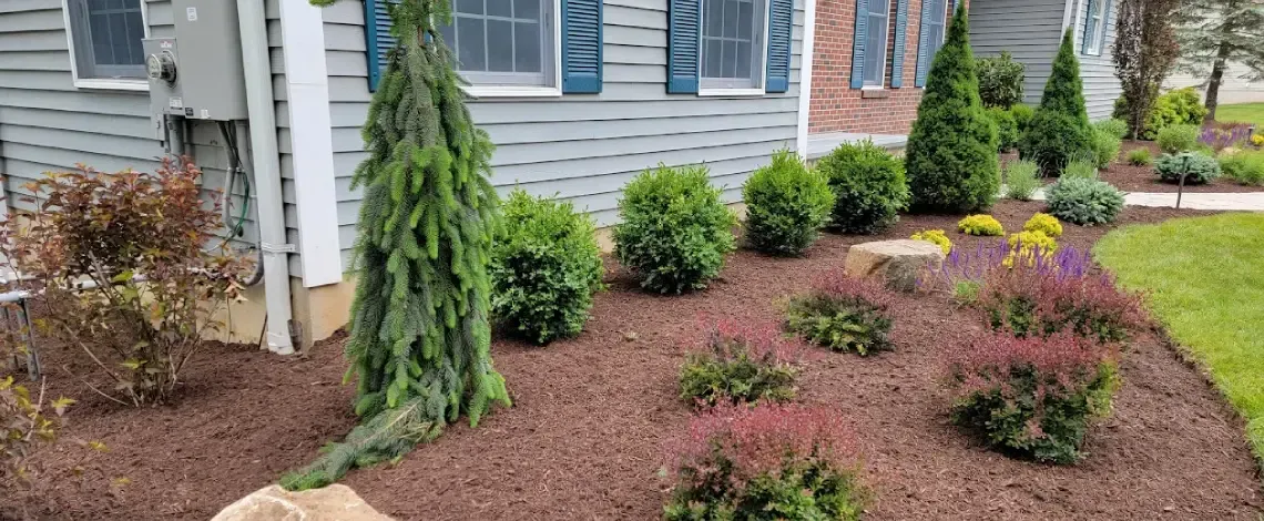 Spring garden preparation tips from a landscaper in Long Valley, NJ