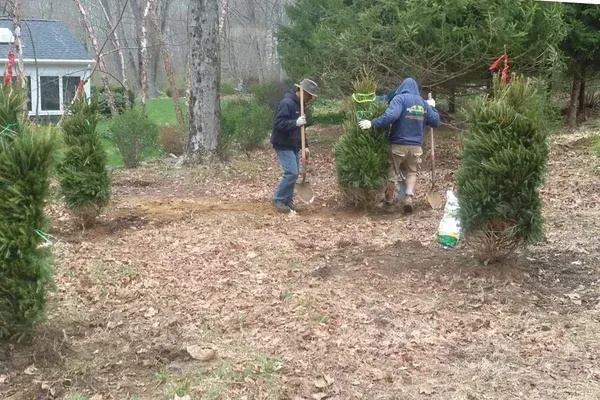 yard cleanup service in long valley nj