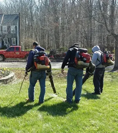 yard cleanups and leaf removal in long valley nj