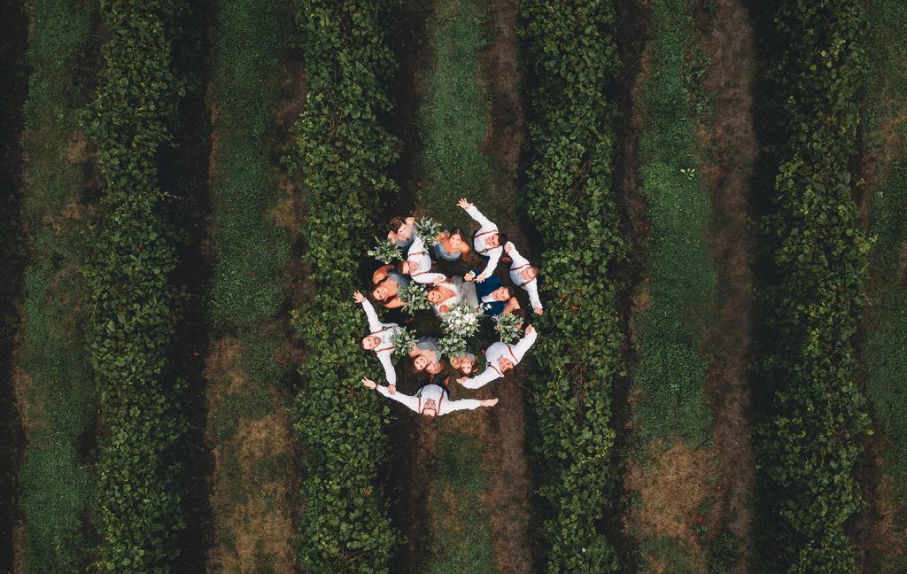 People in a circle with arms raised in a vineyard, surrounded by green rows.