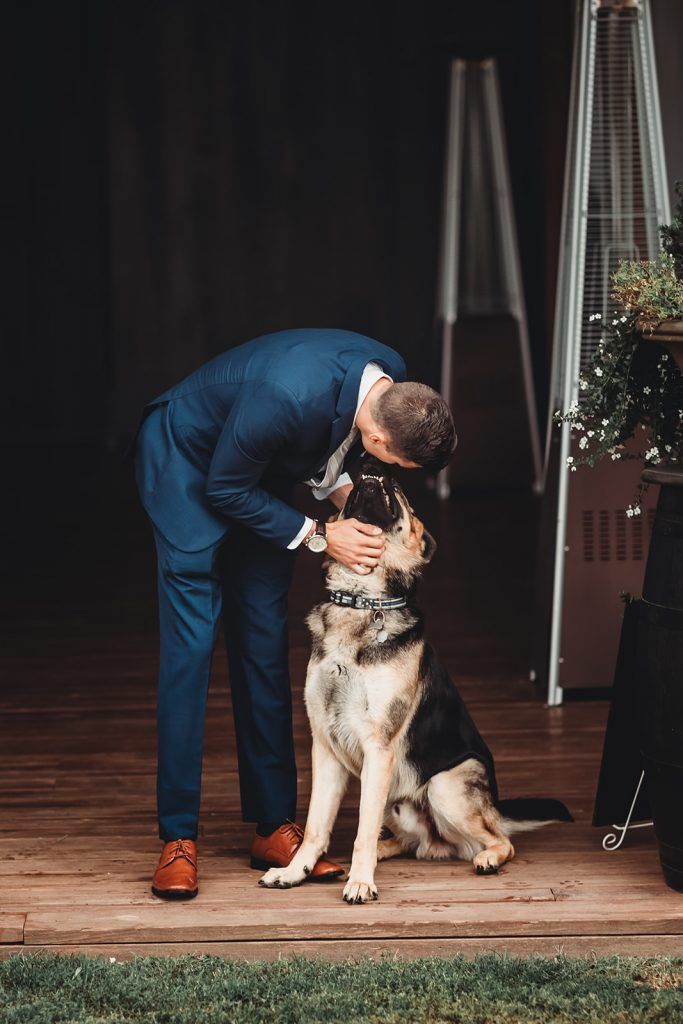 Man in blue suit kneels to kiss a German Shepherd dog outdoors.