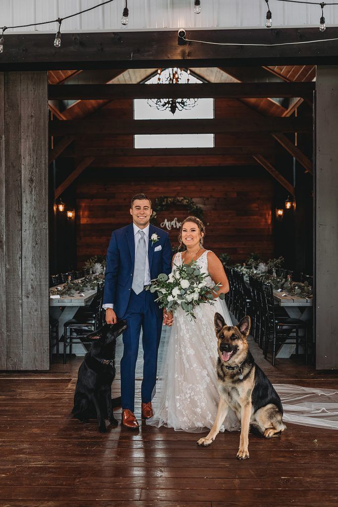 Newlyweds with two dogs stand in barn doorway. Bride in white gown, groom in blue suit.