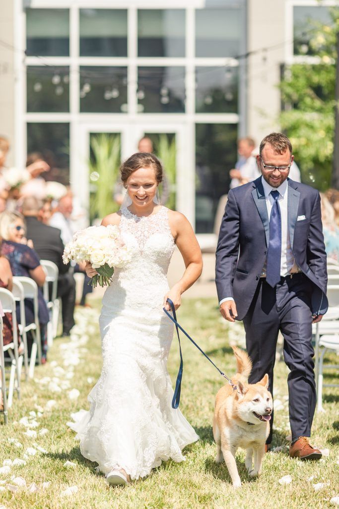 Bride and groom walking a dog down aisle at outdoor wedding. White dress, blue suit, sunny day.