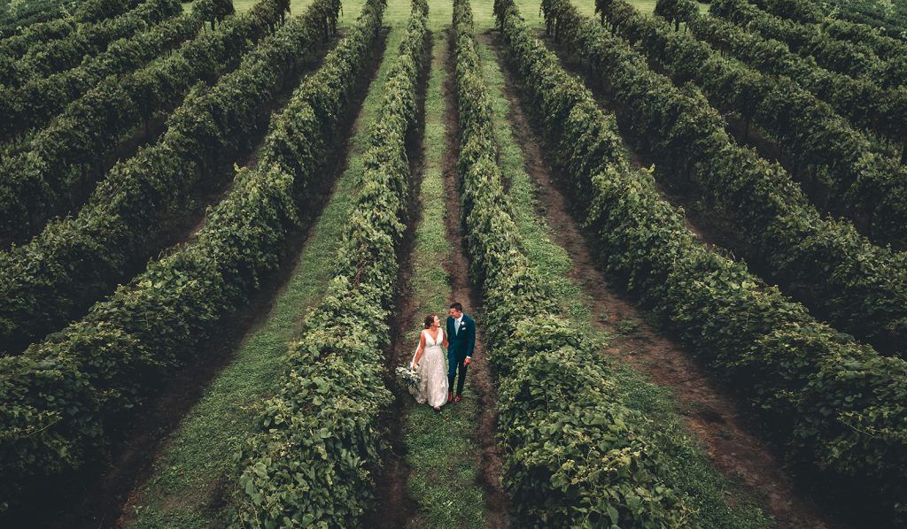 Couple walking through rows of green plants, possibly a vineyard or garden.