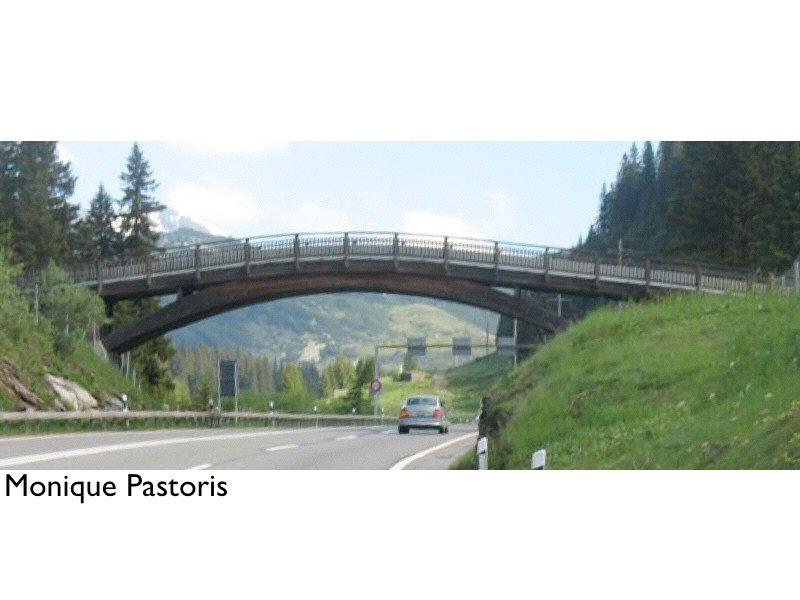 silver fox srl - lavori