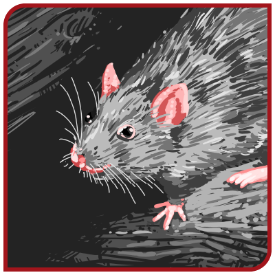 Un dessin d'un rat sur fond noir