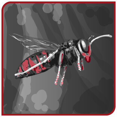 Un Frelon noire et rouge vole dans les airs.