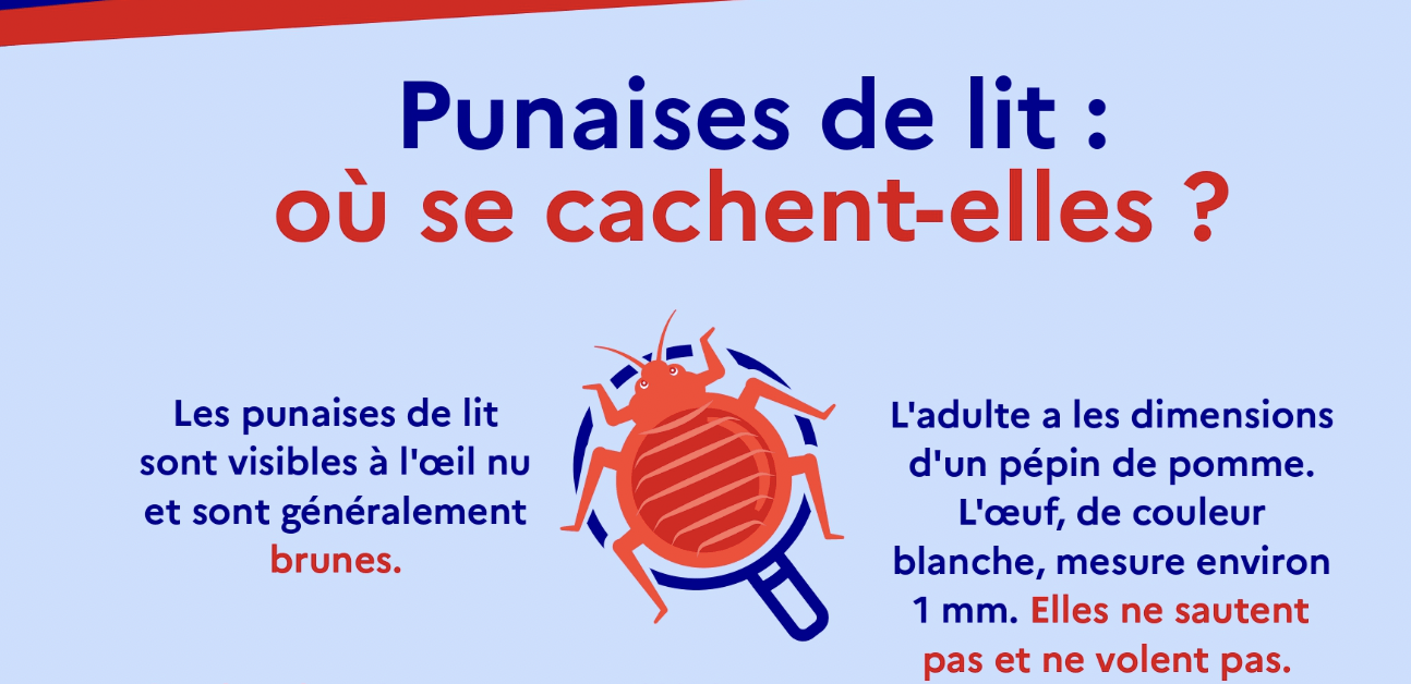 Comment reconnaître le piqure de punaises de lit à Courbevoie (92) ?