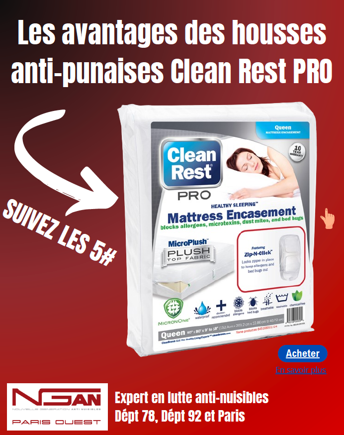 🔒 Protégez votre literie contre les punaises de lit avec Clean Rest PRO ! 🛏️