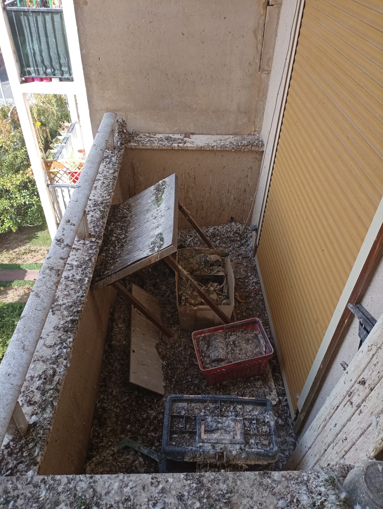 Pourquoi un filet anti pigeon sur un balcon à paris?