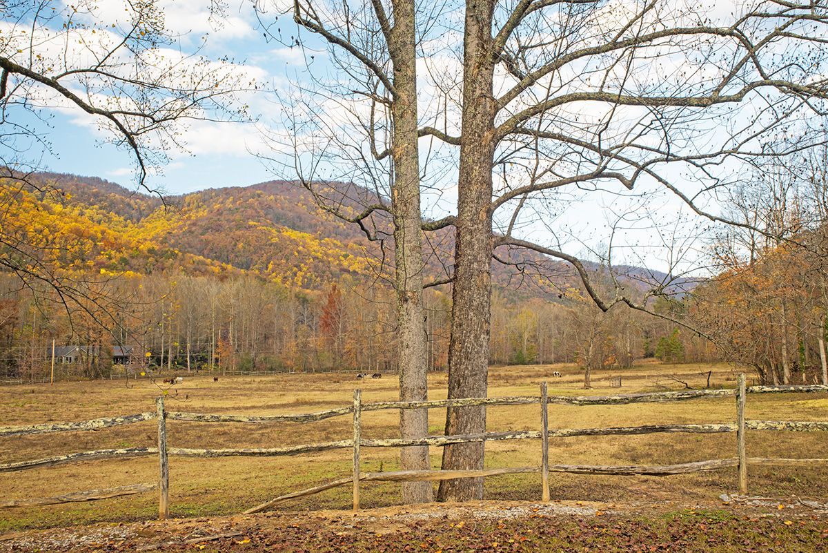 A wooden fence surrounds a field with trees and mountains in the background at Camp Awanita, protected by The Nature Conservancy.