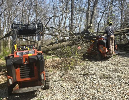 Two small excavators clearing fallen tree branches in a wooded area.