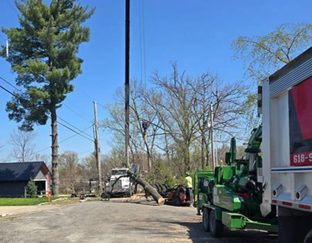 Tree removal: Crane lowering tree trunk onto the road, with chipper and truck nearby. Blue sky.