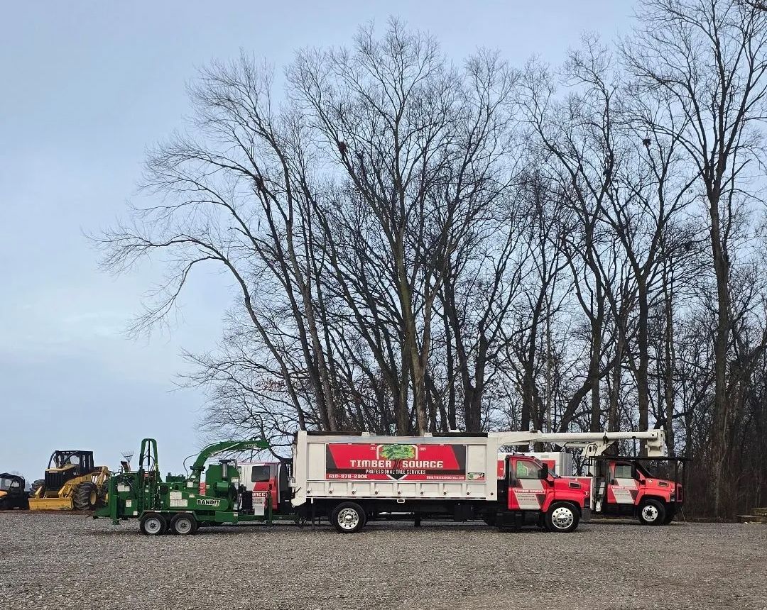 Tree service trucks and a chipper parked near bare trees under a cloudy sky.