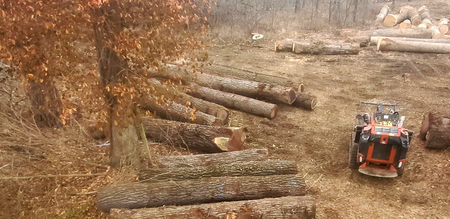 A small orange tractor in a wooded area next to piles of freshly cut logs.