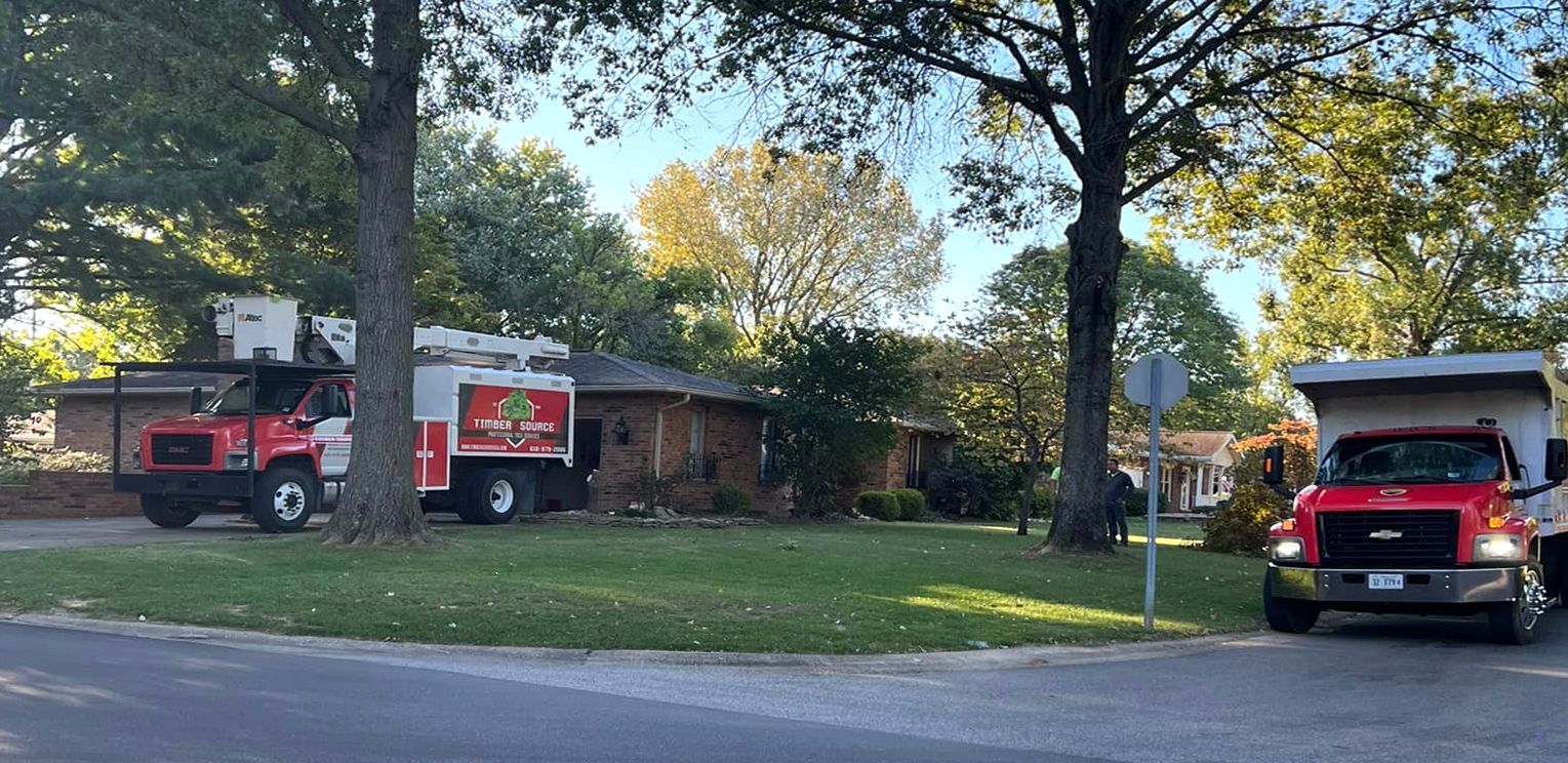 Two red trucks parked in front of a house, possibly for tree work. Trees and a house in the background.