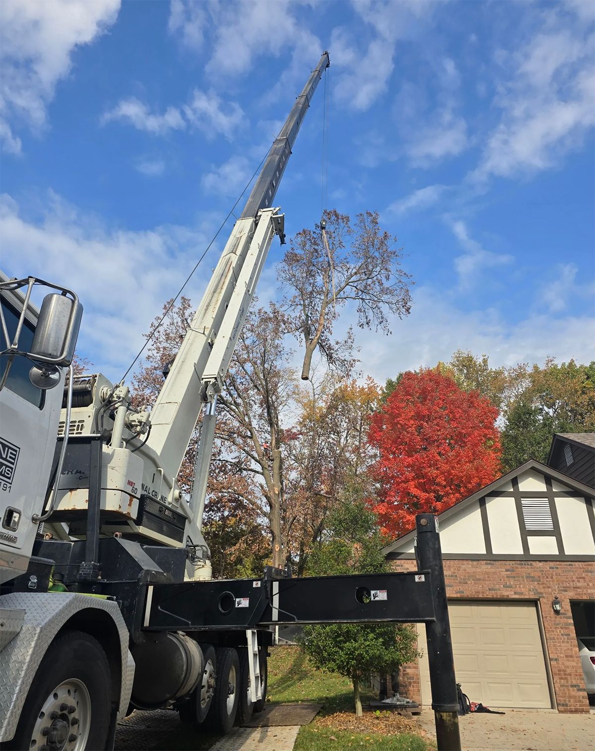 Crane removing a tree from a residential yard on a sunny day. Red and brown leaves. Blue sky.