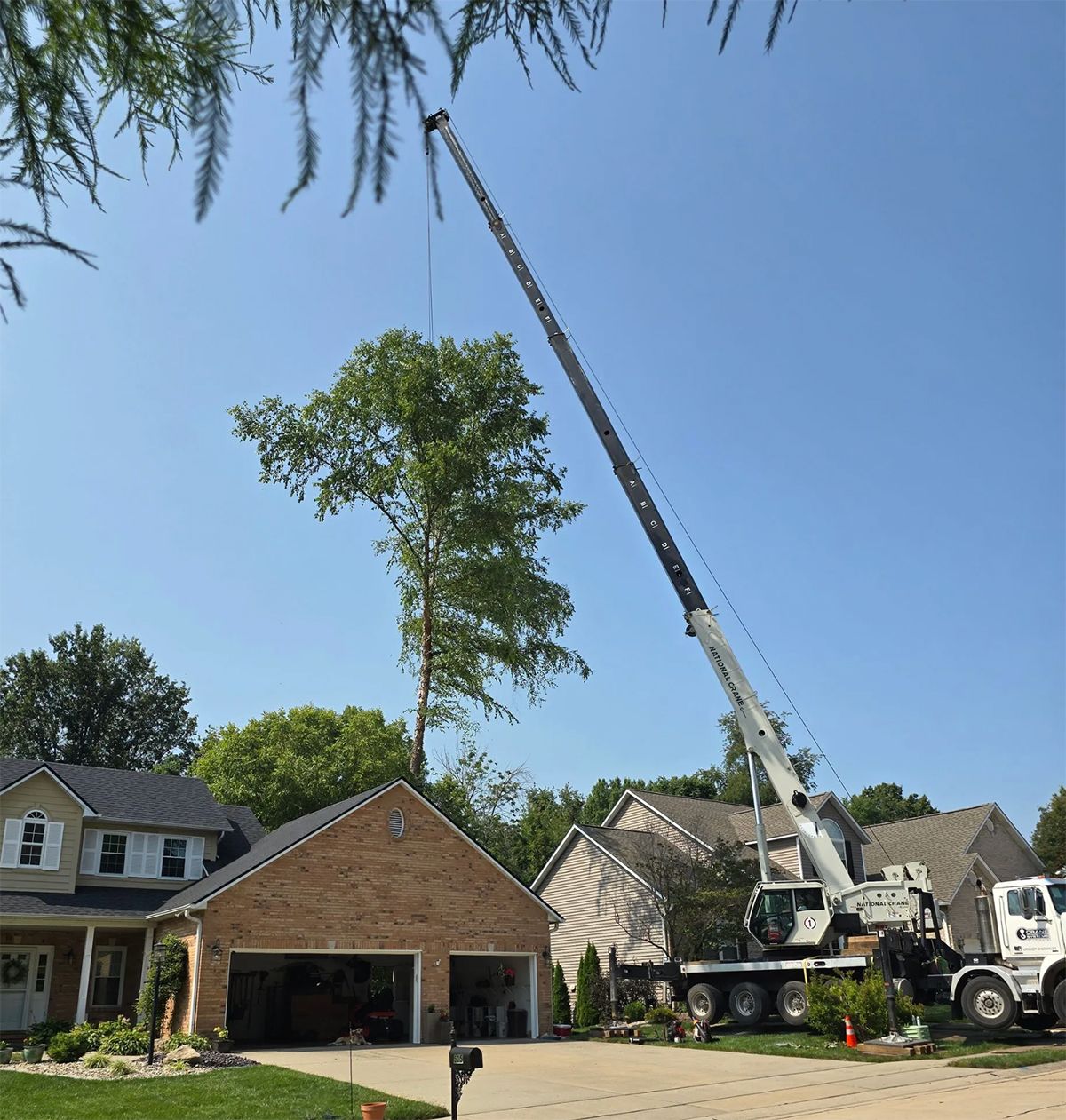 A large crane removing a tall tree next to a house on a sunny day.