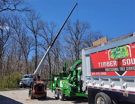 Tree service crew with crane, chipper, and dump truck; outdoors in woods.