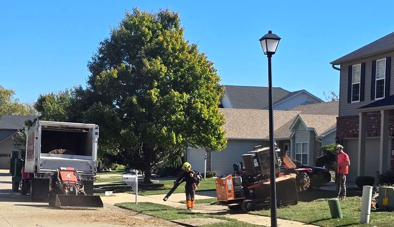 Workers operating a tree chipper and a truck on a residential street; a large tree in the background.