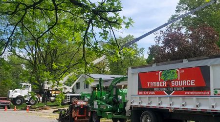 Tree service removing branches: a truck, crane, and chipper in front of a white house; Timber Source logo on truck.