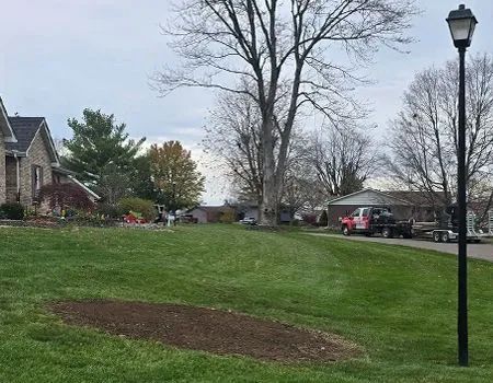 Grassy yard with bare patch, trees, houses, and truck on a cloudy day.