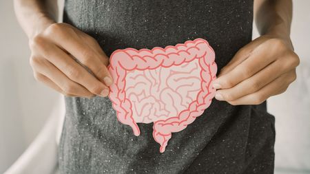 A person holding up a drawing of a healthy digestive system.