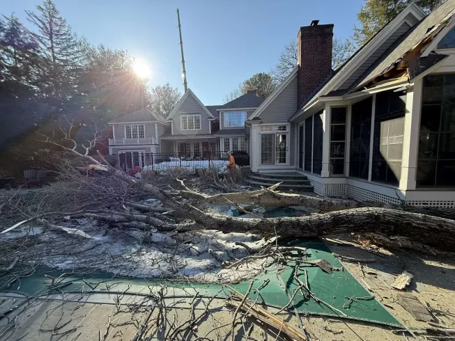 Emergency tree removal after storm damage in Cleveland TX