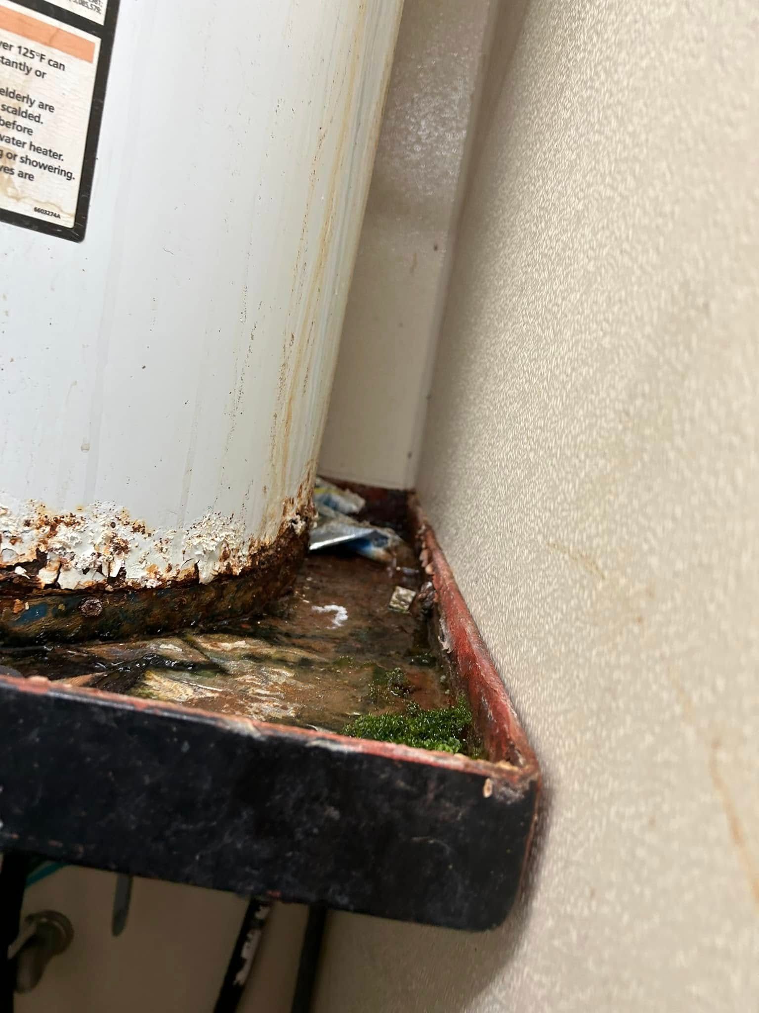 A close-up view of a rusted metal water heater base sitting on a dirty, possibly moldy, platform in a corner.