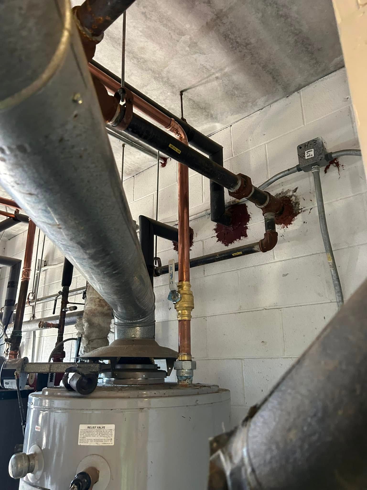 A water heater with a metal exhaust vent, copper piping, and black insulated pipes against a white concrete block wall.