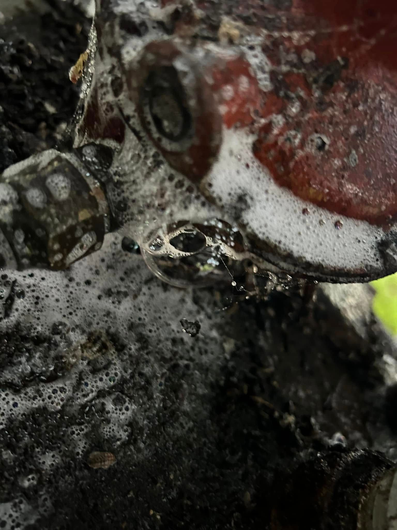 Soapy bubbles forming on a metal propane regulator, indicating a gas leak.