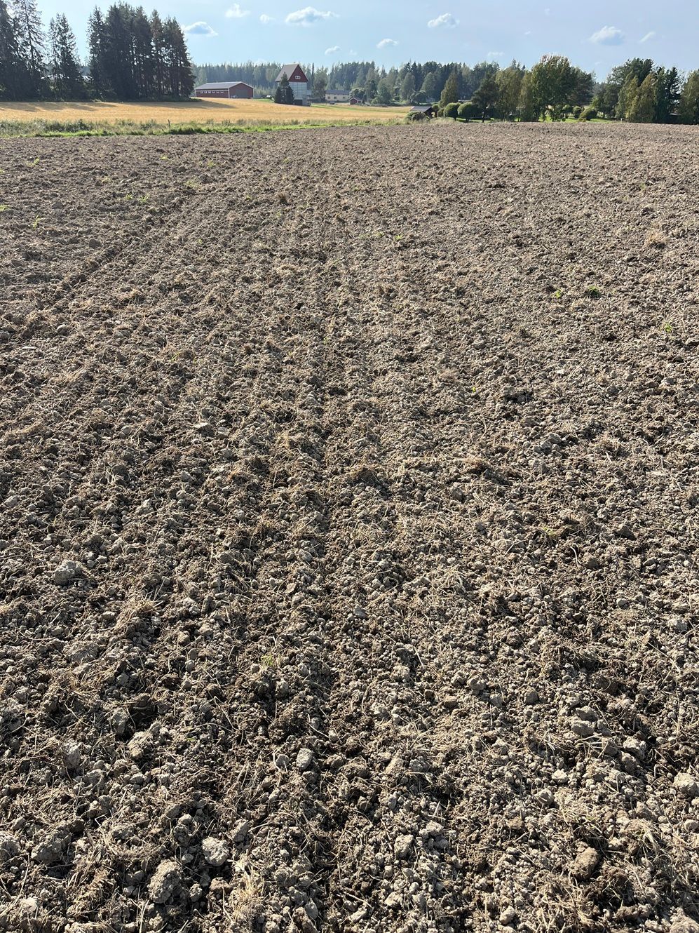 Kynnetty pelto, ruskeaa maaperää, valmis istutettavaksi, kirkkaan taivaan alla, puita kaukana.
