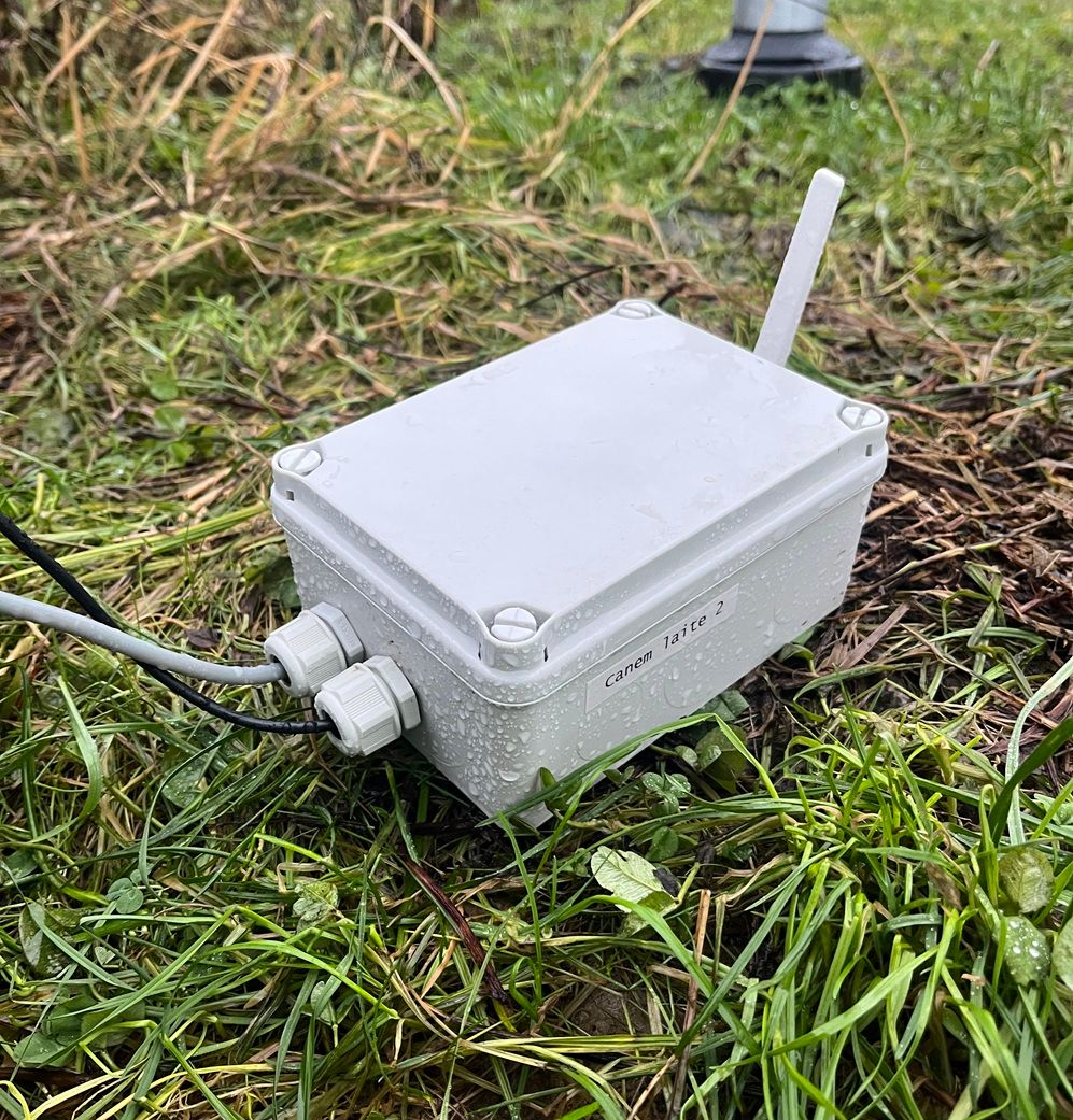 Canem Silva koirametsän lämpötilasensori