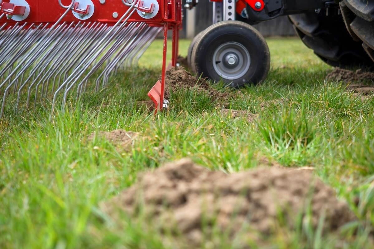 Rikkaäes SMS Lanio tasaa laitumella lantapaakkuja