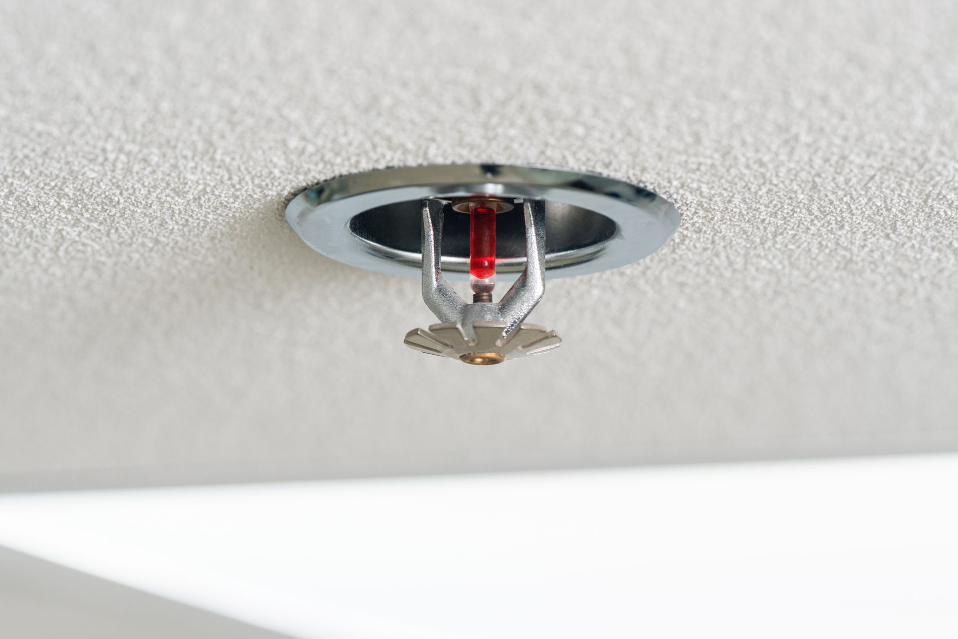 Sprinkler head with red glass bulb mounted in a white ceiling panel