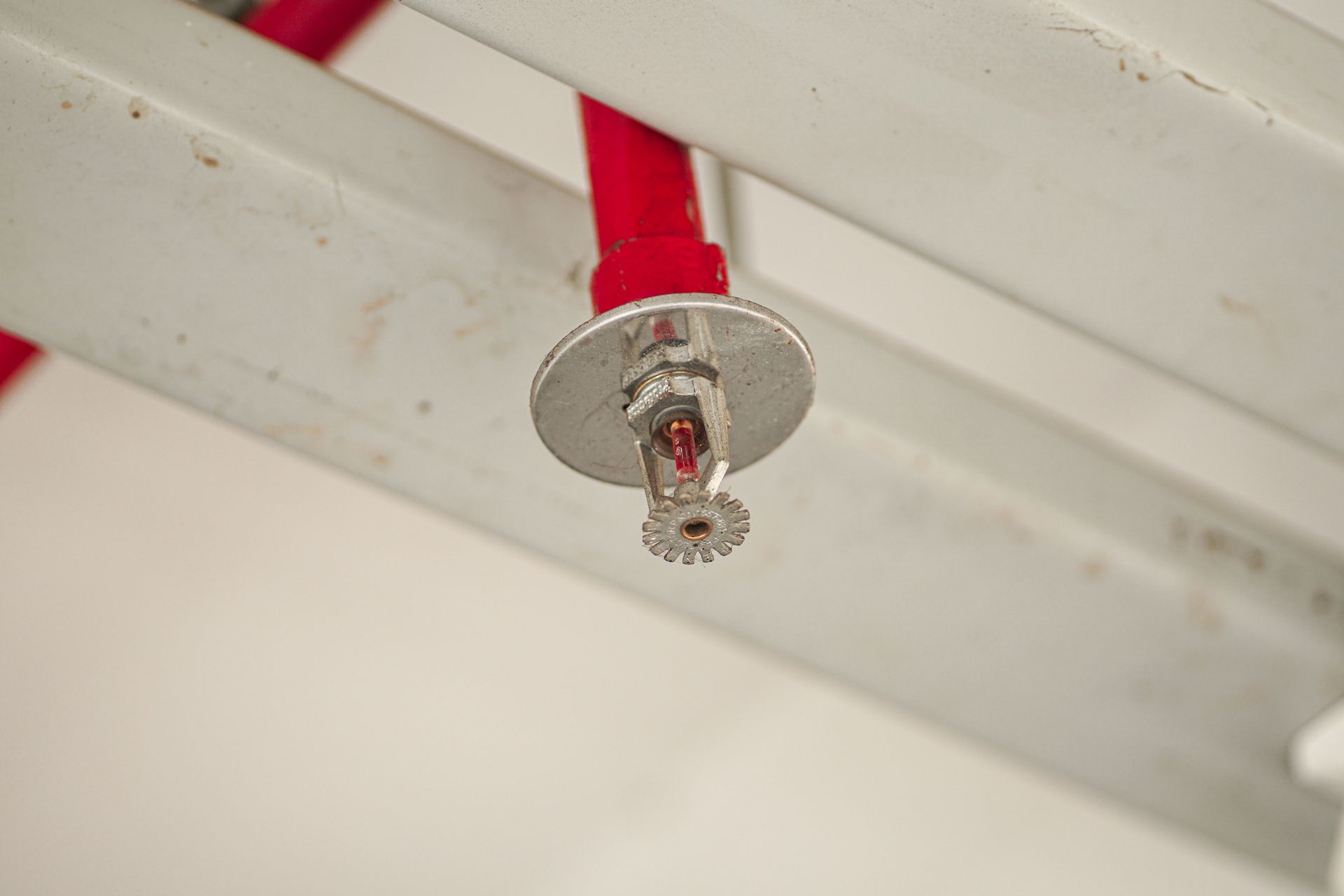 Ceiling-mounted sprinkler head with red piping and chrome cover plate