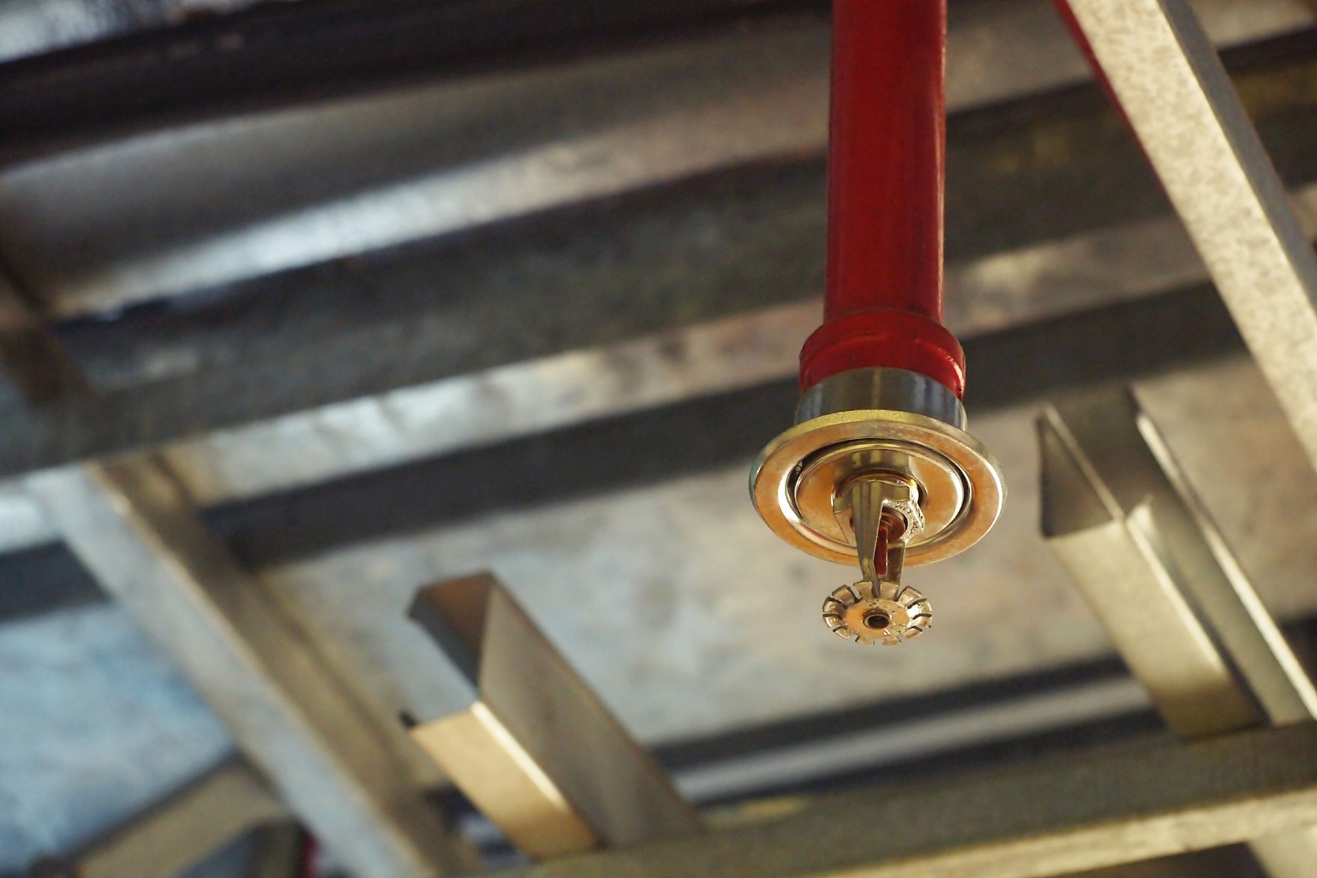 Close-up of a red sprinkler head mounted on a metal ceiling grid