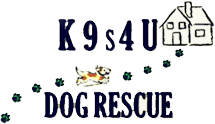 K9s4U Dog Rescue