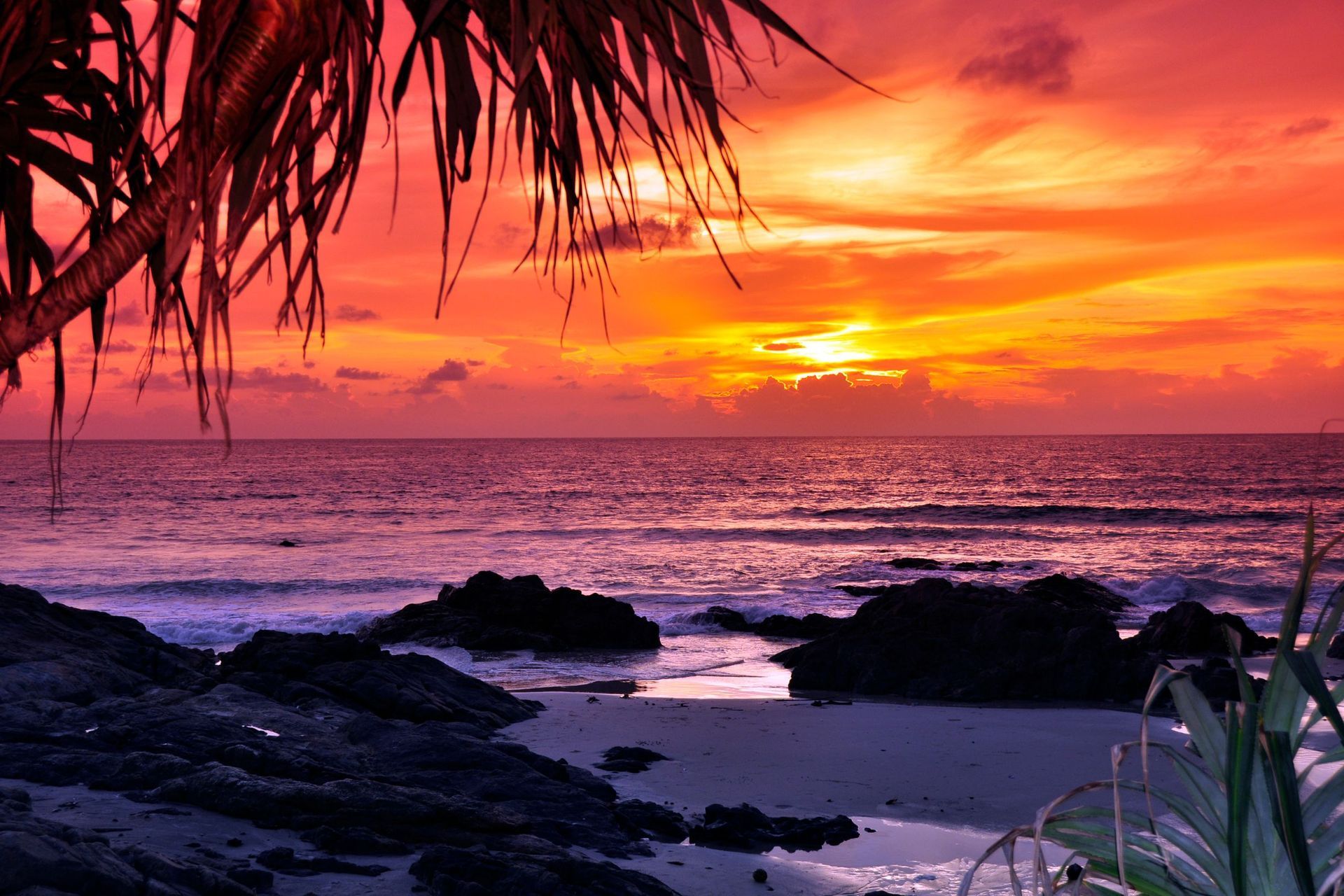 Sunset over ocean, with vibrant orange and purple hues. Rocks and palm fronds in the foreground.
