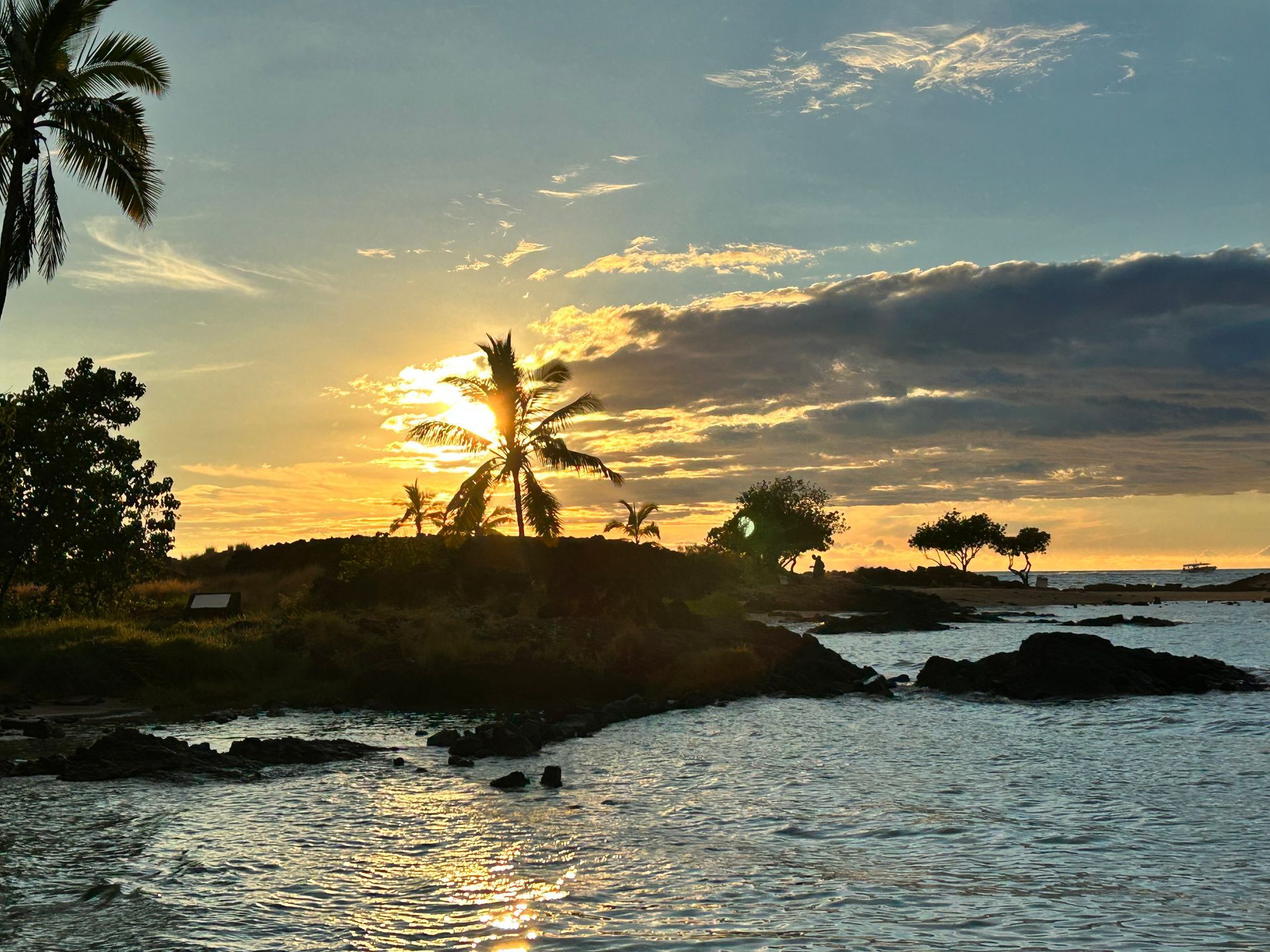 Sunset over ocean with palm trees silhouetted on a rocky shore, gold and blue sky.