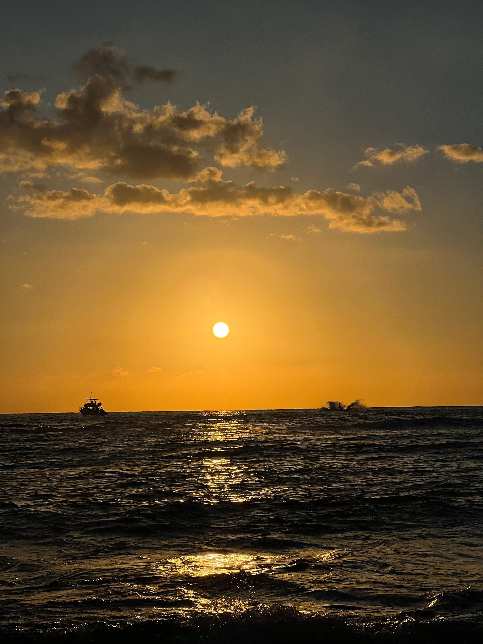 Sunset over ocean with sun reflecting on the water; boats on the horizon.