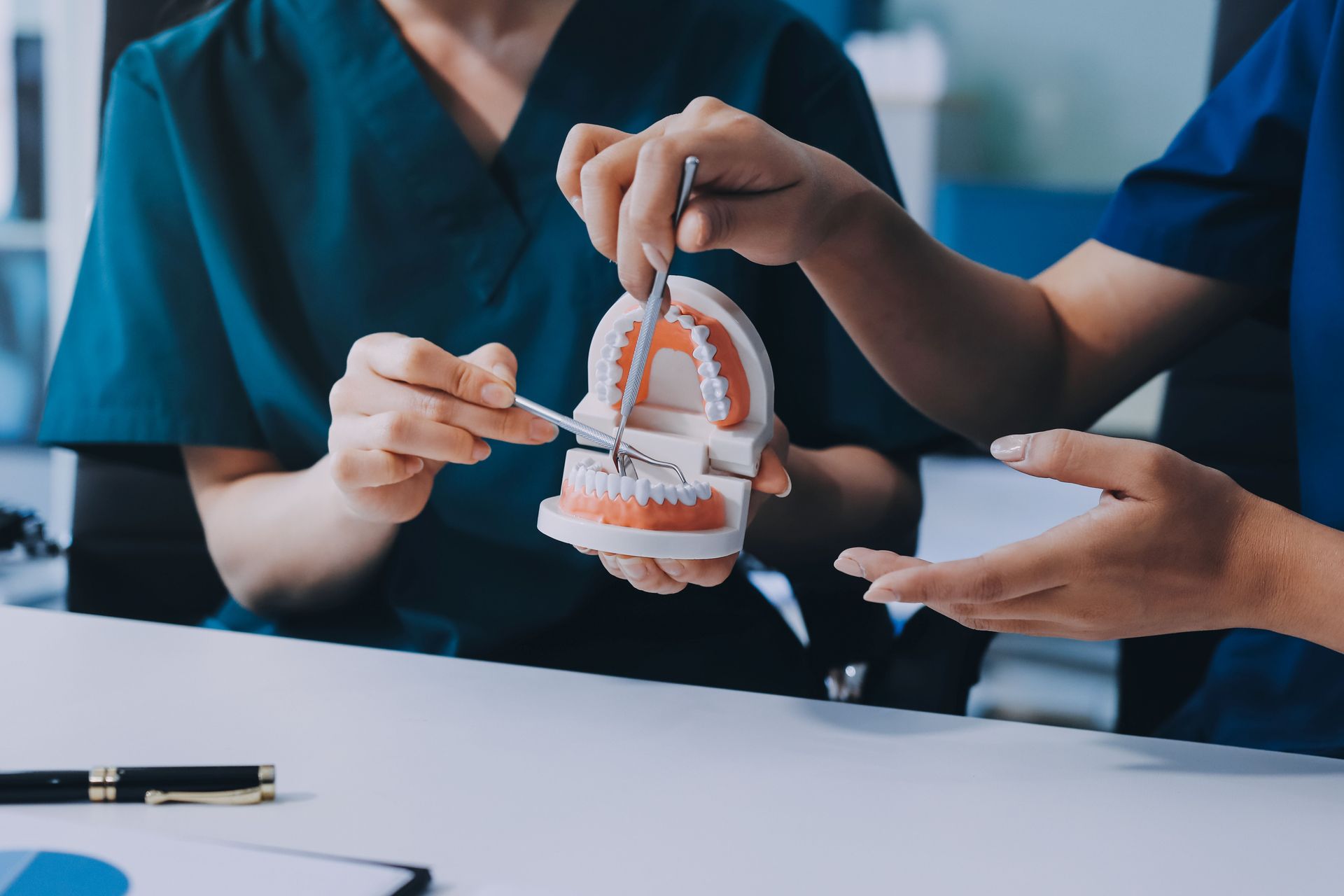 Two medical professionals examining a model of teeth, demonstrating dental care.