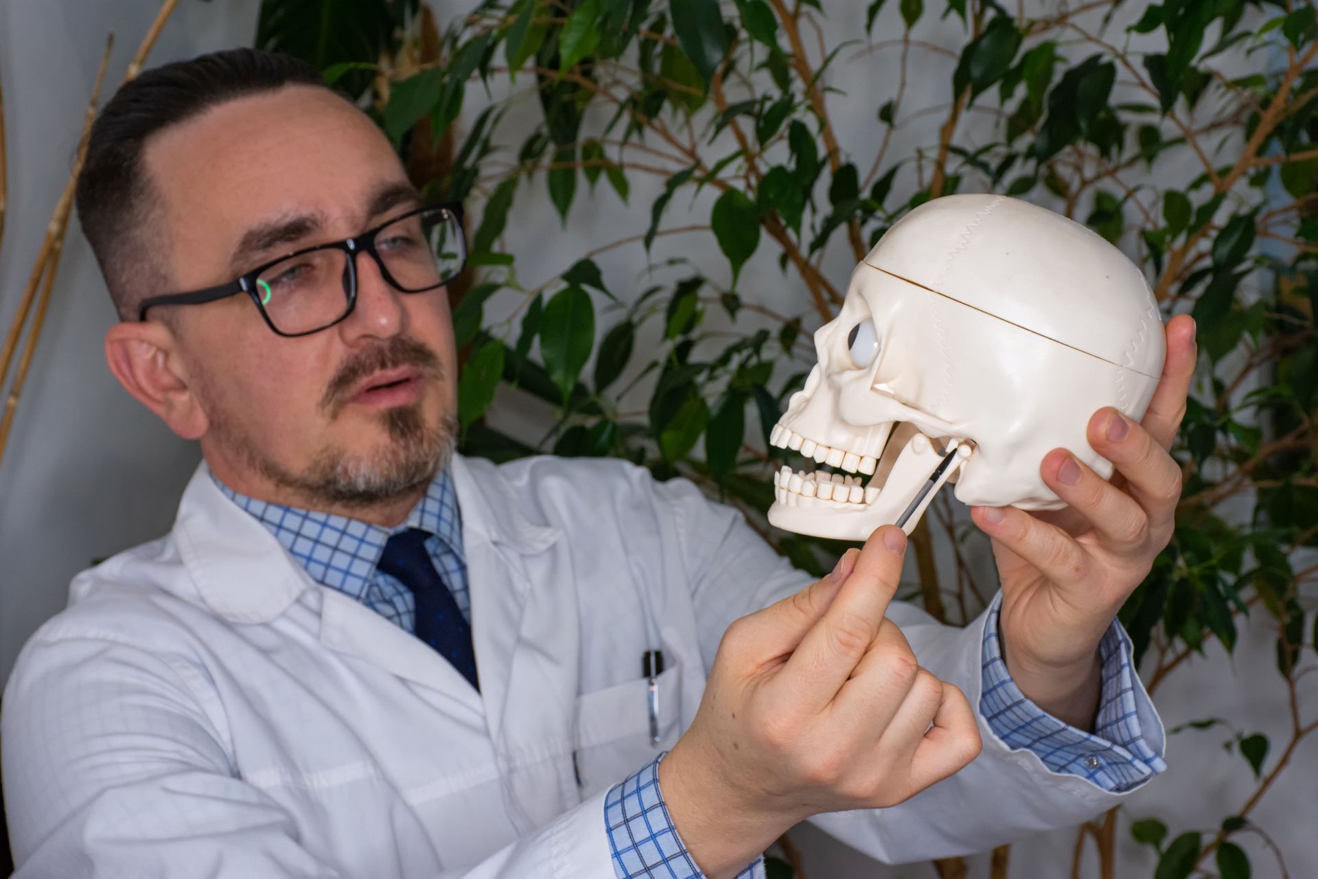Doctor in lab coat holding a skull, pointing to the jaw, plants in background.