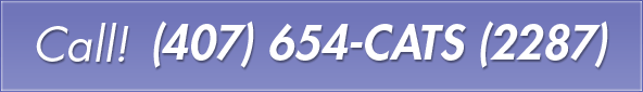 Call! (407) 654-CATS (2287)