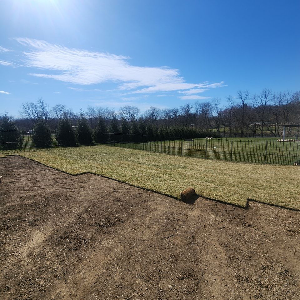 Newly laid sod on a lawn with a blue sky.