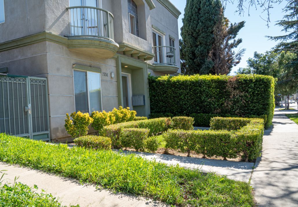 A house with a lot of bushes in front of it.