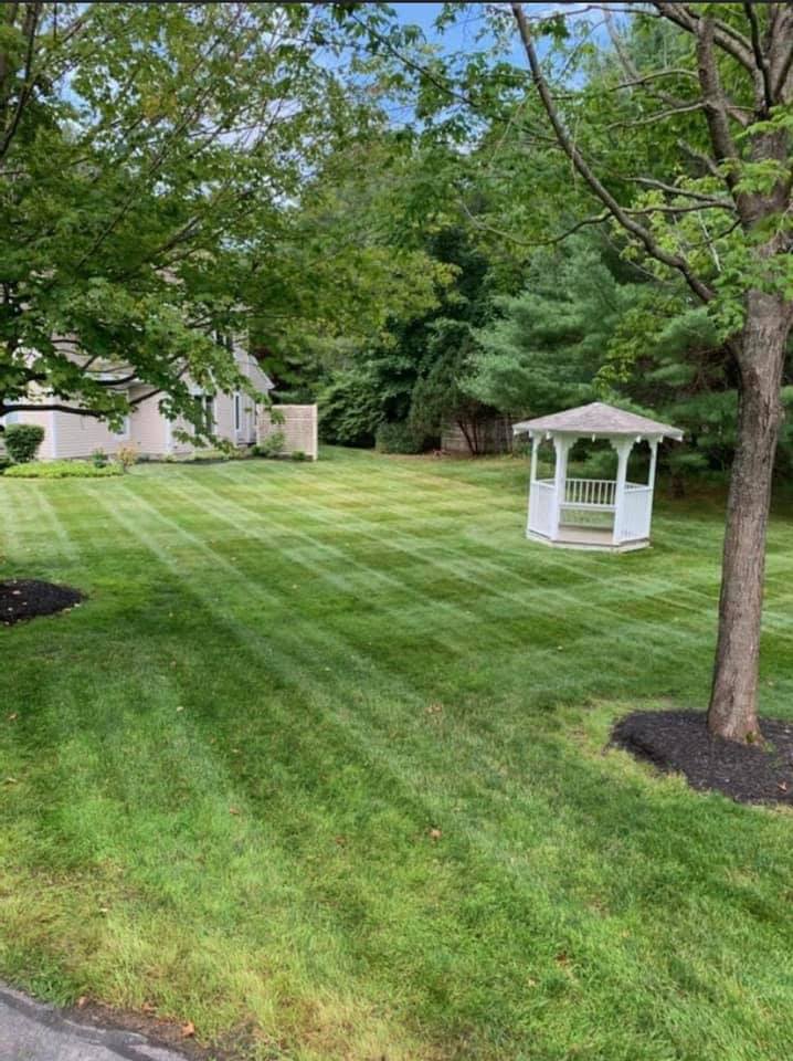 Landscaping lawn image